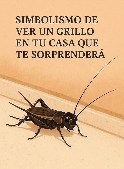 Grillo en el hogar