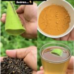 Remedio Casero de Dr. Frank Suárez para Aliviar la Salud