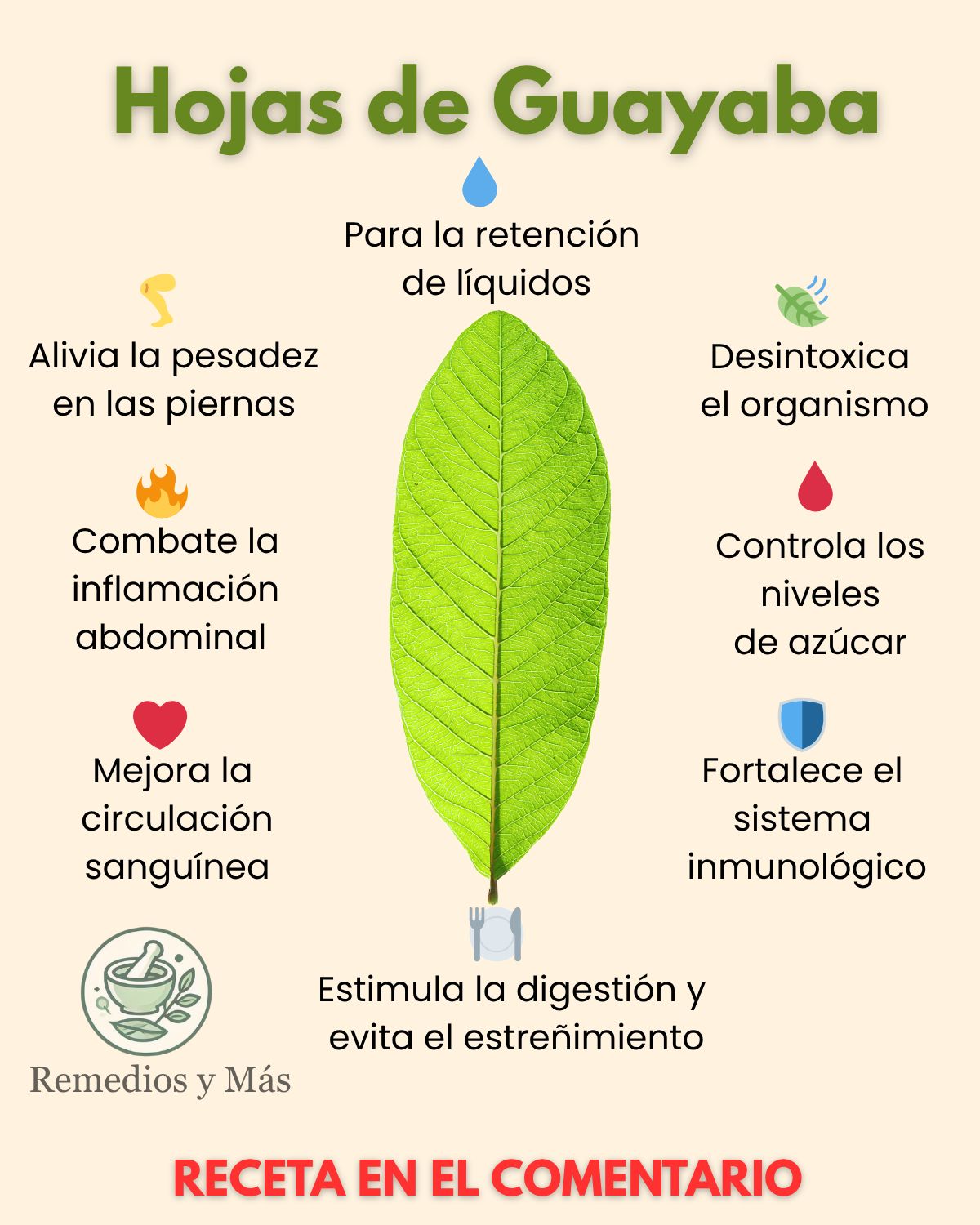 Beneficios de las hojas de guayaba