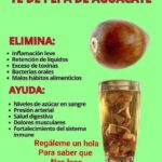 Semilla de Aguacate: El Tesoro Oculto que Limpia tu Cuerpo y Protege tu Corazón