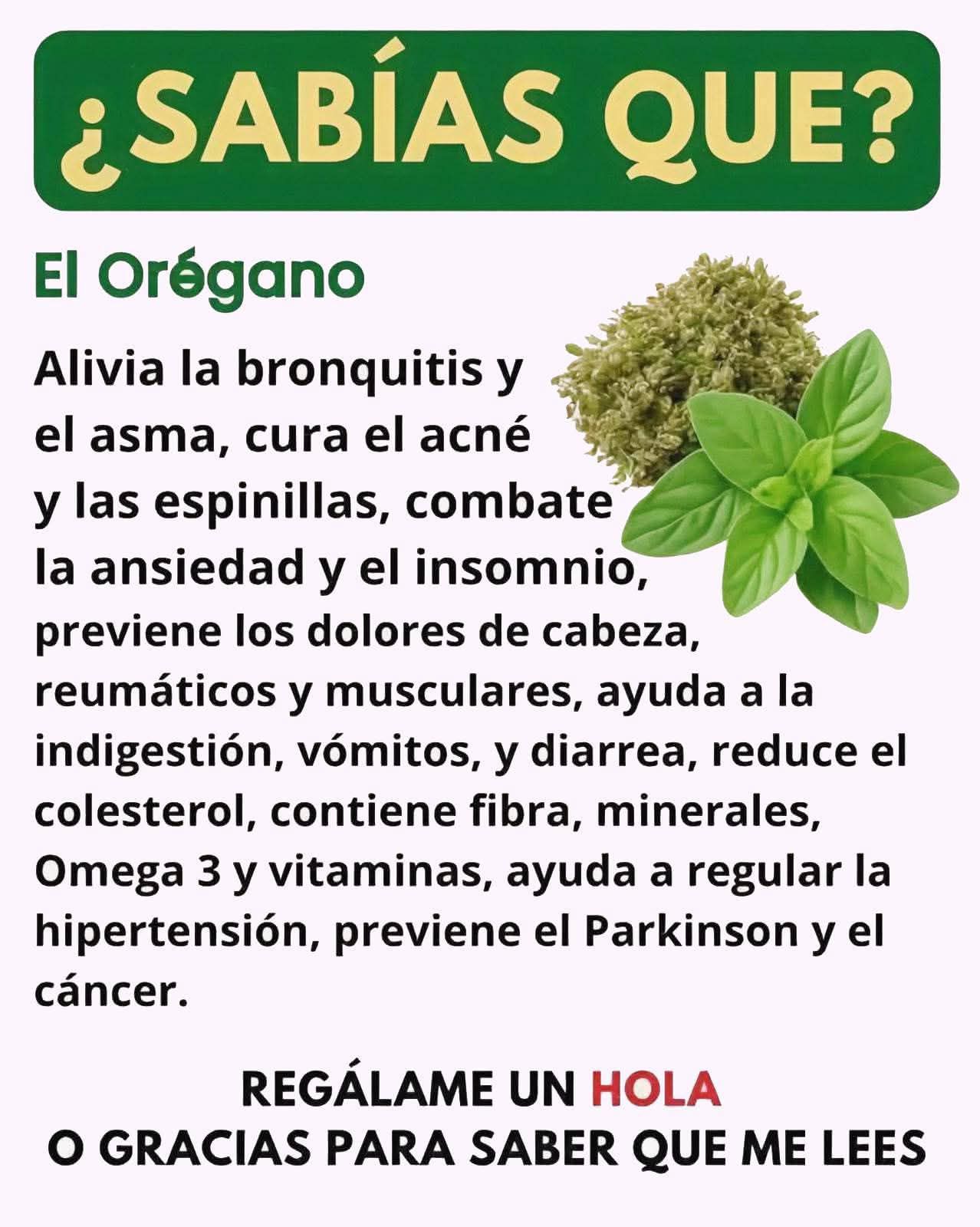 Orégano y sus beneficios para la salud