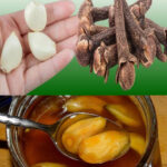 El Poder del Ajo, Miel y Clavos: Un Remedio Natural Inigualable