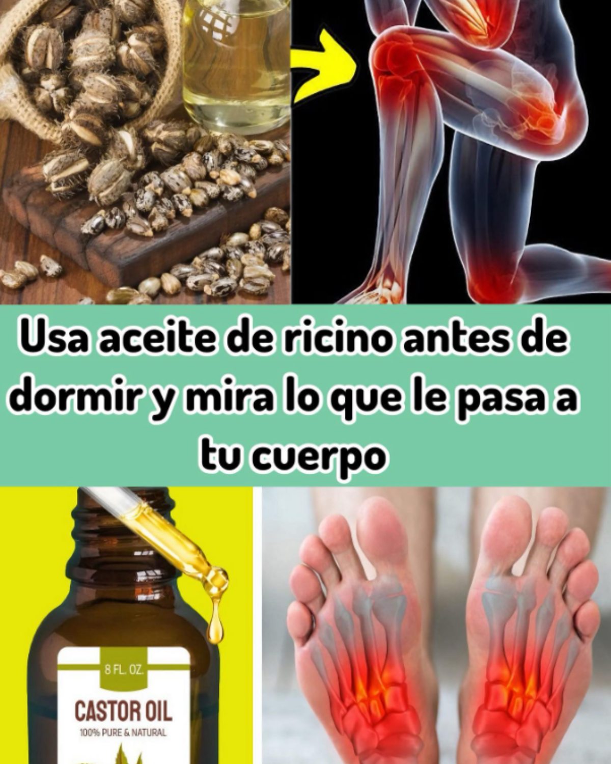 Aceite de Ricino y sus Beneficios para la Salud