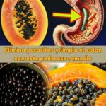 Elimina Parásitos y Limpia el Colon: Un Poderoso Remedio Natural con Semillas de Papaya