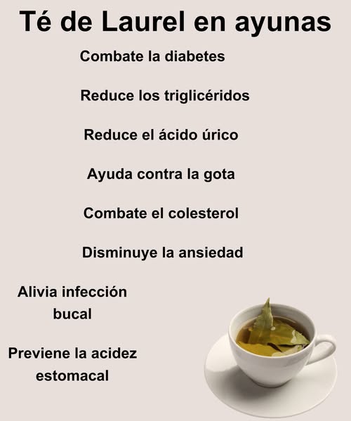 Té de Laurel en taza