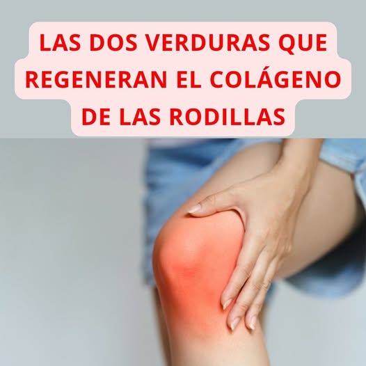 Verduras que regeneran el colágeno de las rodillas