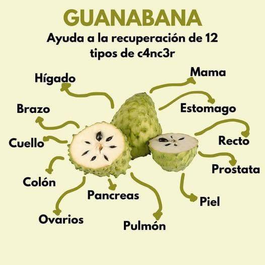 Beneficios de la Guanábana en la Salud
