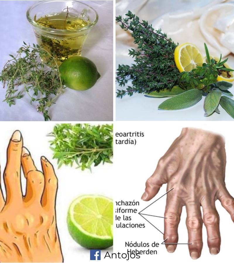 Tomillo y Limón para la Artritis