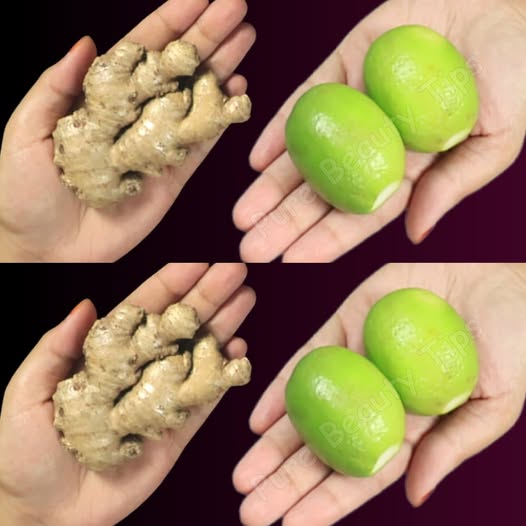 Ingredientes de jengibre y frutos de jabón