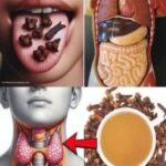 Clavos de Clavo: Potentes Beneficios para la Salud y Consejos de Uso