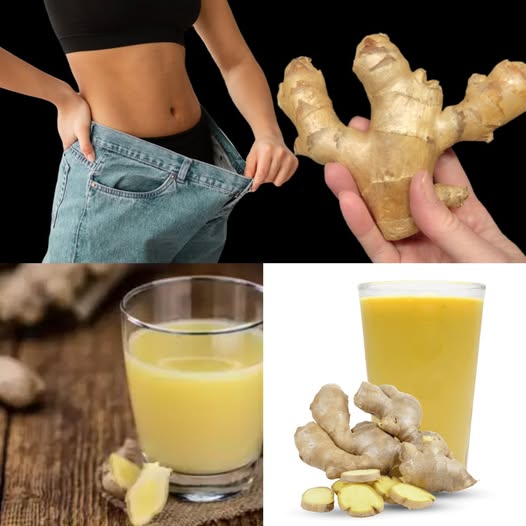 Bebidas de jengibre