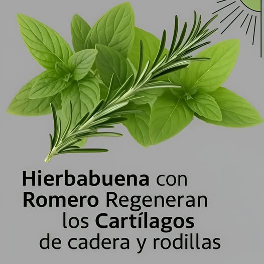 Hojas de hierbabuena y ramita de romero