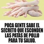 Las Sorprendentes Propiedades de las Patas de Pollo para tu Salud