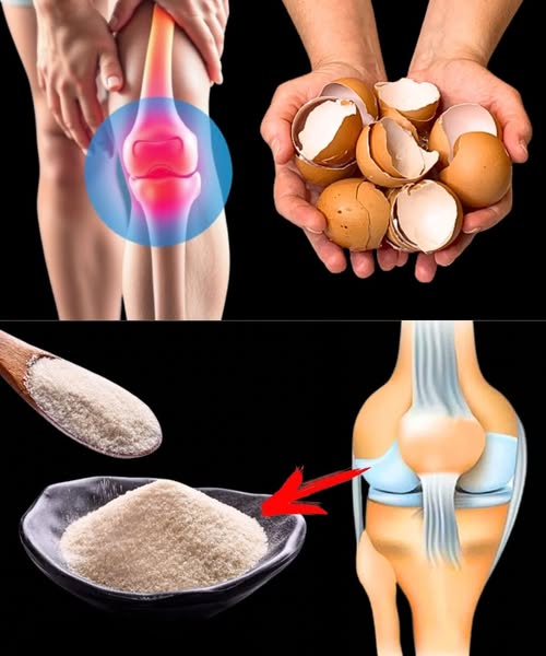 Cáscaras de huevo y mejora de la salud articular