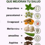 Hierbas que Mejoran Tu Salud: Medicamentos Naturales para el Bienestar