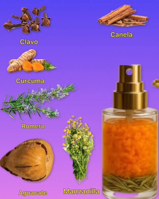 Ingredientes naturales para tónico capilar