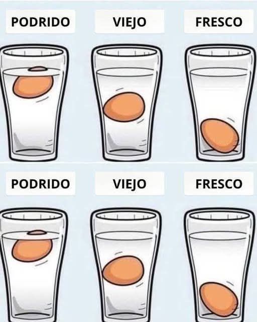 Método de flotación para comprobar la frescura de los huevos