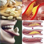 Los Asombrosos Beneficios del Ajo Crudo en Ayunas para la Salud Cardiovascular