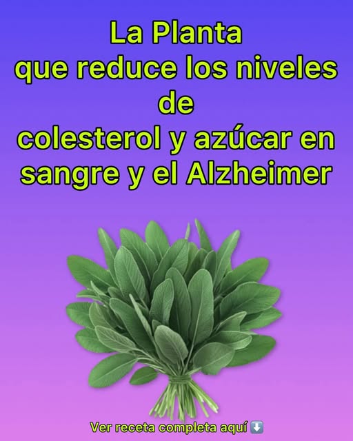 Hojas de salvia