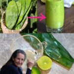 Adiós Cáncer y Azúcar Alto: El Poder del Nopal en Tu Batido Saludable