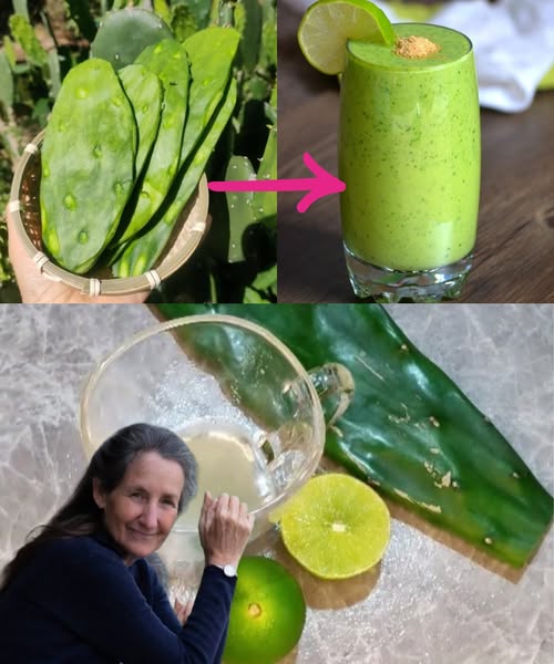 Batido Saludable de Nopal