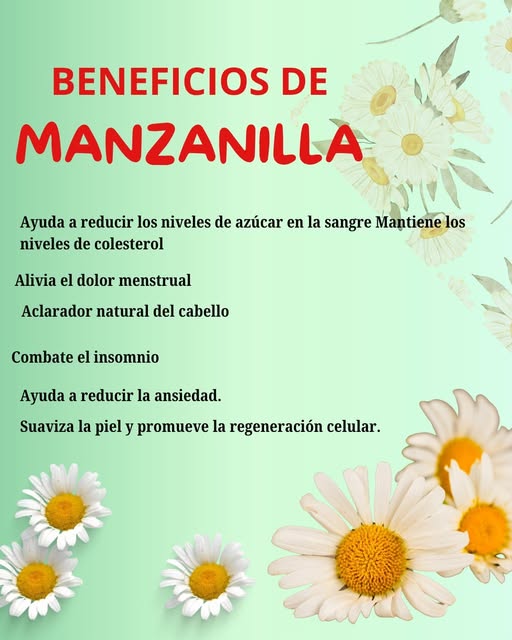 Beneficios de la Manzanilla