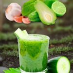 Hoja de Vida: El Secreto Curativo que Crece en Tu Jardín