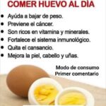 Beneficios de Consumir un Huevo al Día: Recetas y Más
