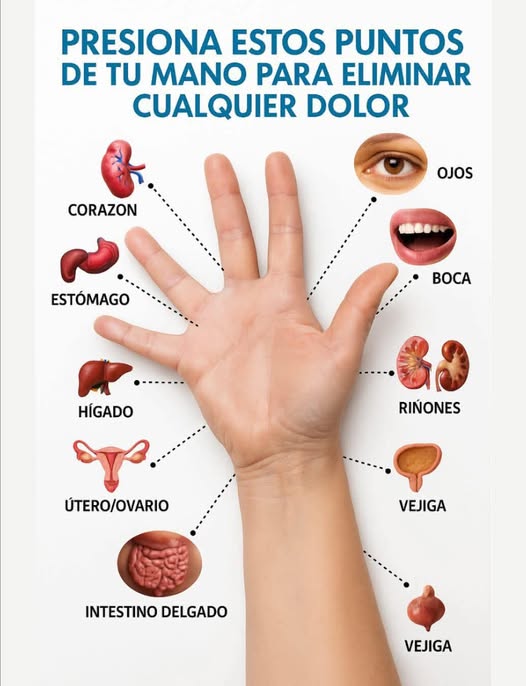 Puntos de presión en la mano para aliviar dolores