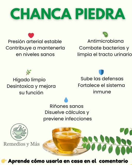 Infusión de Chanca Piedra