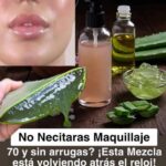 Descubre el Secreto De Mi Abuela Para Una Piel Perfecta: Aloe Vera y Otros Ingredientes Naturales