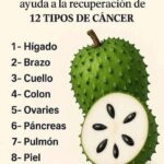 La Guanábana: Un Tesoro Natural para Tu Salud