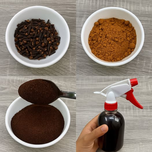Ingredientes para Tónico Capilar Natural