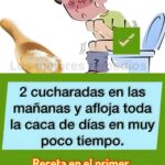 El Poder del Aloe Vera para la Salud Digestiva y Metabólica