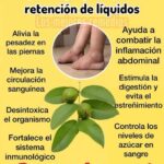 Remedio con Hojas de Guayaba para la Retención de Líquidos y Piernas Cansadas
