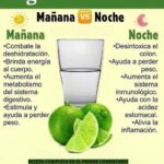 Agua Tibia con Limón en Ayunas: El Sencillo Ritual que Transforma Tu Salud