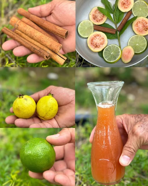 Té de Guayaba, Canela y Limón