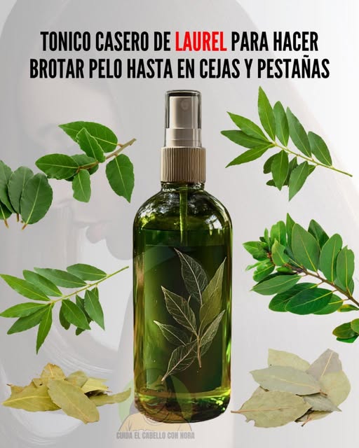 Tónico Casero de Laurel