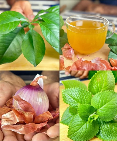 Remedios Naturales
