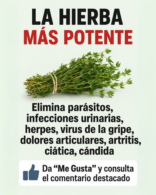 Hierba poderosa para la salud