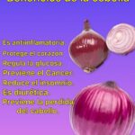 Descubre los Sorprendentes Beneficios de la Cebolla para tu Salud
