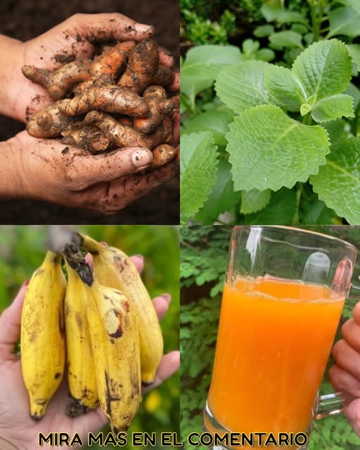 Bebida natural hecha de cúrcuma, calanchoe, plátano y jugo de naranja