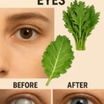 5 Hierbas Esenciales para Mejorar Naturalmente la Salud de tus Ojos