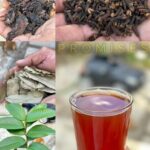 Beneficios de los Remedios Naturales: Hibisco, Clavos de Olor y Guayaba