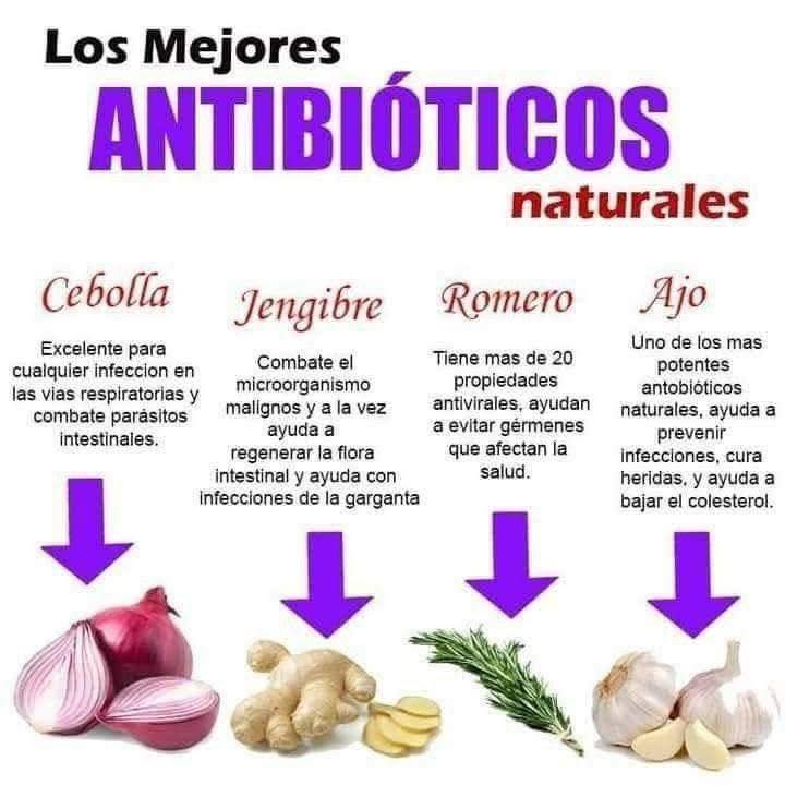 Mejores Antibióticos Naturales