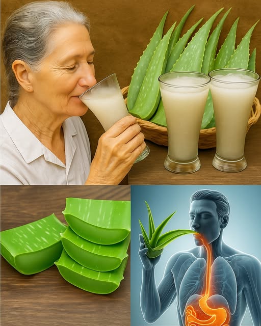Beneficios del aloe vera