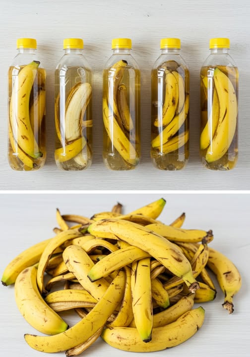 Botellas con plátanos sumergidos