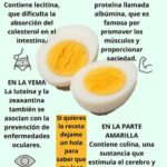 El Huevo Hervido: El Súper Alimento que Quizás Estás Subestimando