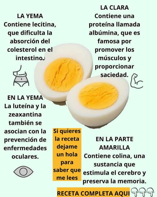 Beneficios del Huevo Hervido