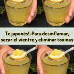 Beneficios del Té Japonés: Desinflama, Seca el Vientre y Elimina Toxinas